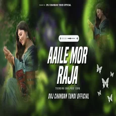 Aaile Mor Raja Leke Dhol Baja Hyper Bass Mix Dvj Chandan Tundi Official Aaile Mor Raja Leke Dhol Baja Hyper Bass Mix Dvj Chandan Tundi Official